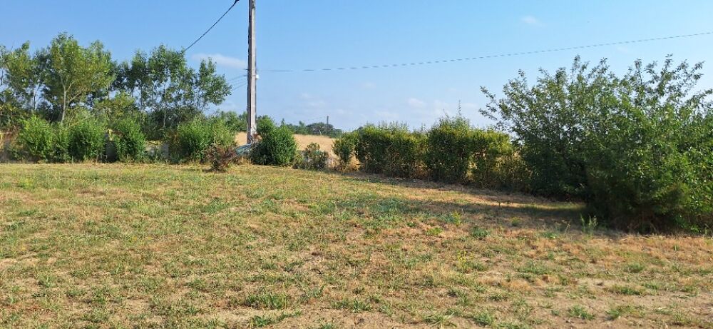 vente Maison - 4 pièce(s) - 120 m² Brax (31490)