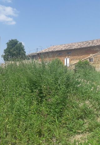  Maison 4 pi�ces 73 m� Grisolles