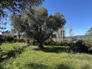  Terrain 615 m� Puget-ville