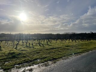  Terrain � vendre 975 m�