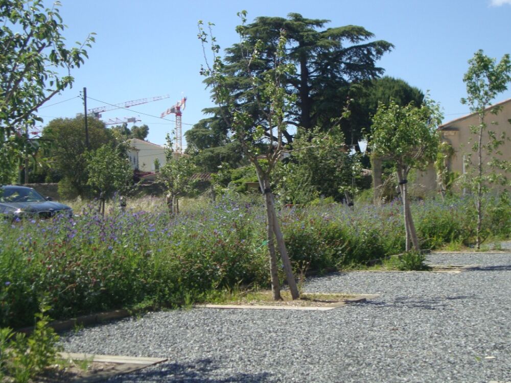 vente Terrain - 255 m² Hyères (83400)