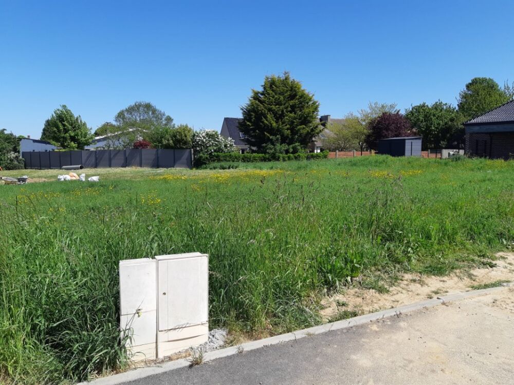 vente Terrain - 603 m² Bois-Bernard (62320)