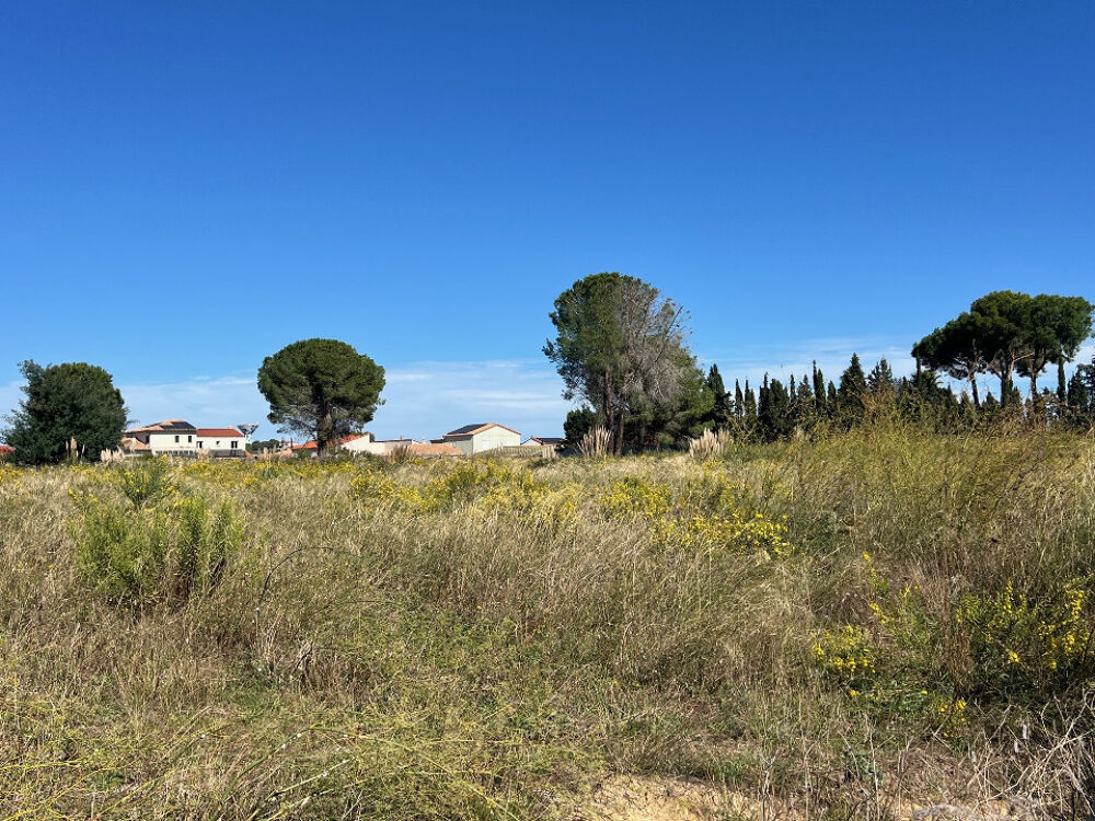 vente Terrain - 698 m² Laroque-des-Albères (66740)