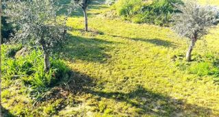  Terrain � vendre 980 m�