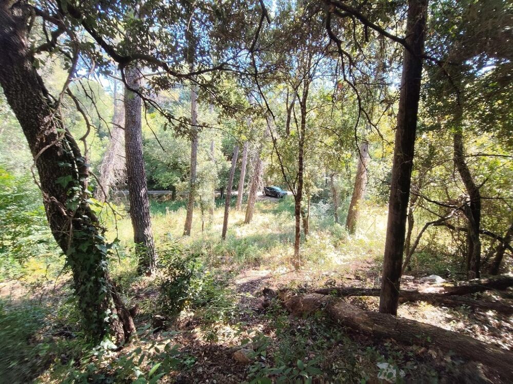 vente Terrain - 1880 m² Lorgues (83510)
