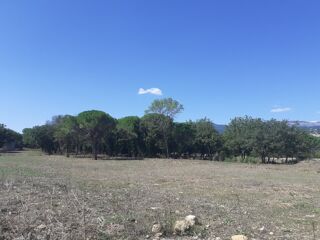  Terrain � vendre 1545 m�