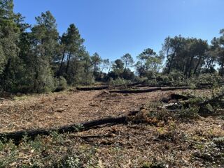  Terrain � vendre 344 m�