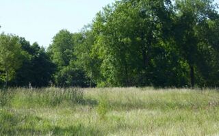  Terrain � vendre 485 m�