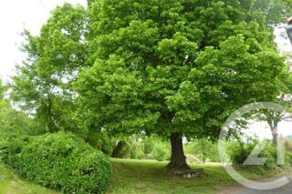  Terrain � vendre 1901 m�