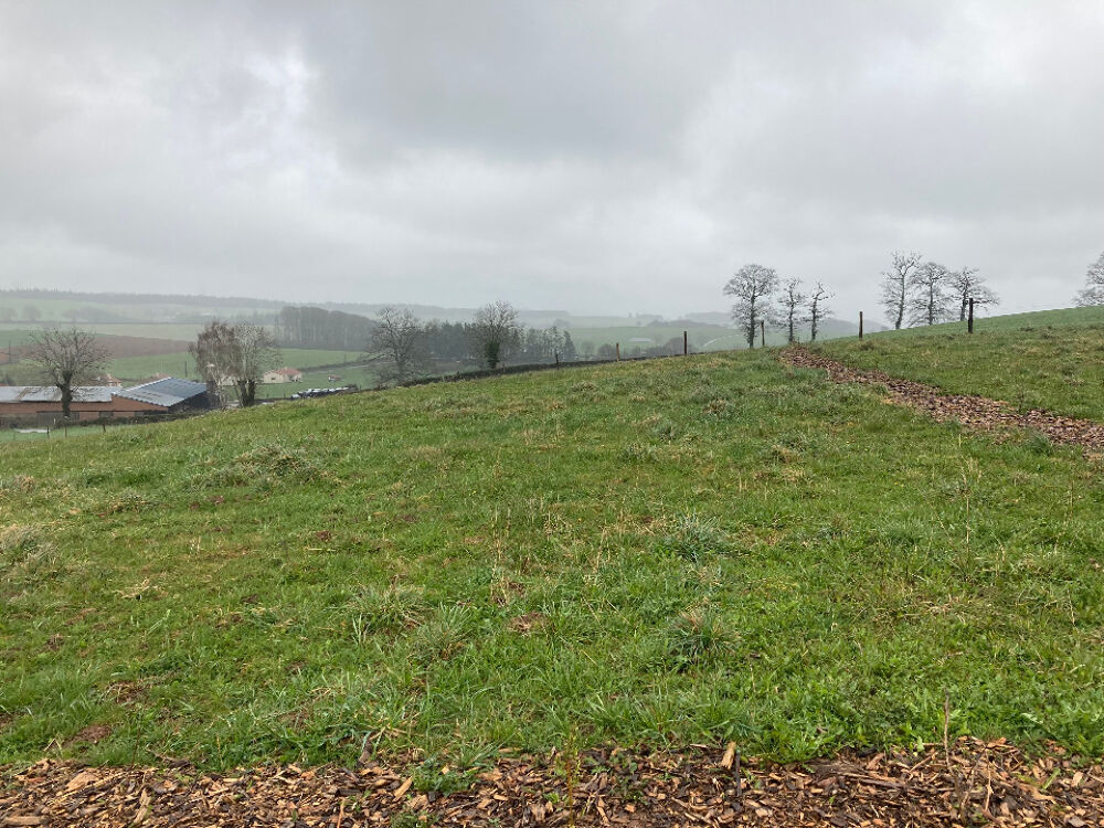 vente Terrain - 555 m² Lafeuillade-en-Vézie (15130)
