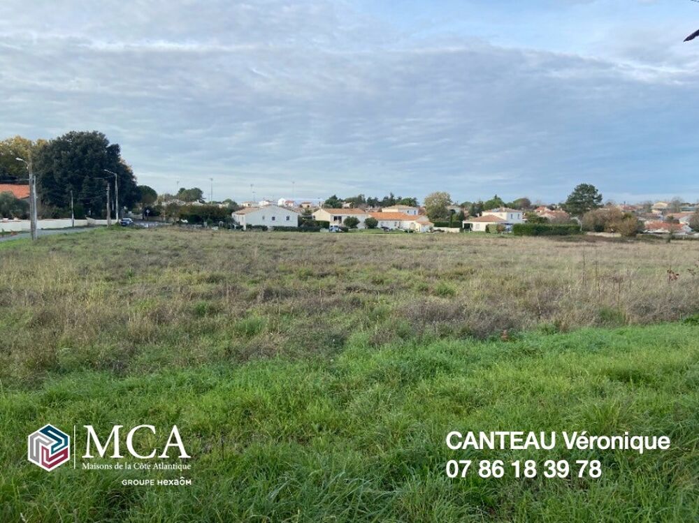 vente Terrain - 258 m� Meschers-sur-Gironde (17132)