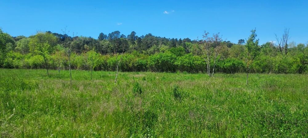 vente Terrain - 577 m² Tourves (83170)