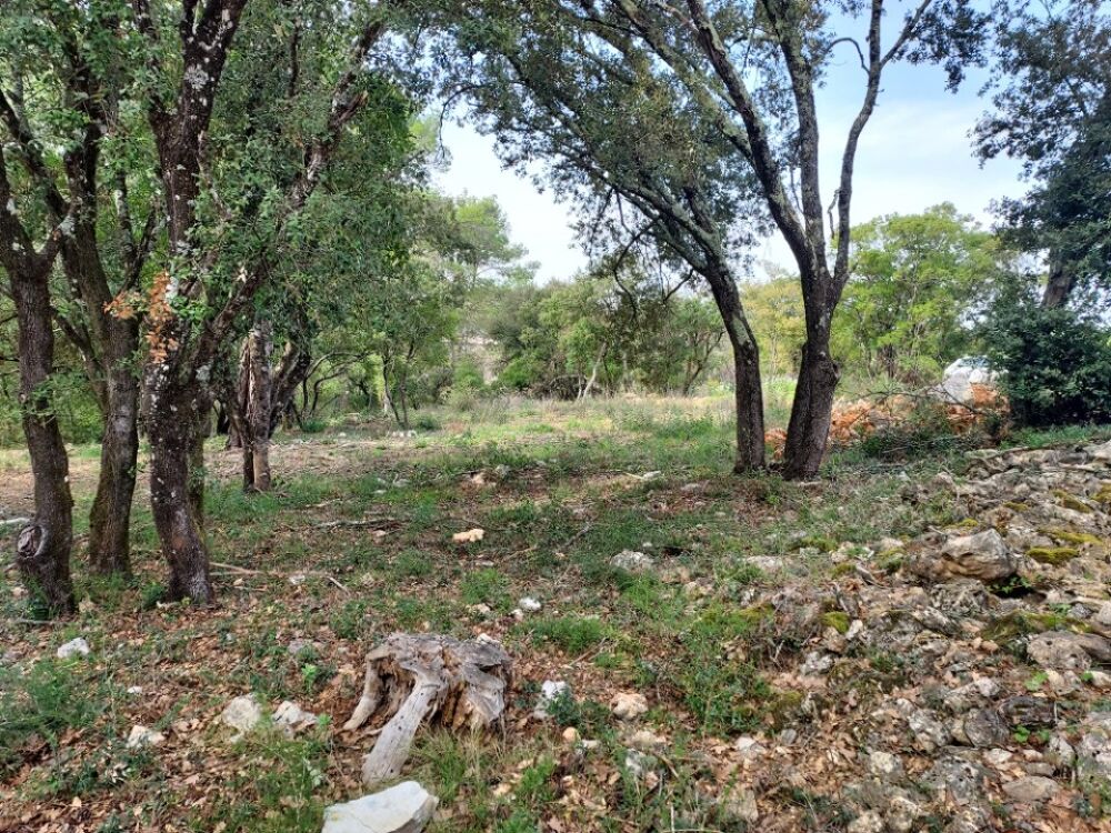 vente Terrain - 1056 m² Le Thoronet (83340)