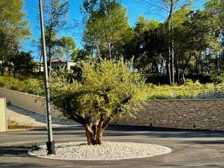 Terrain  vendre 800 m