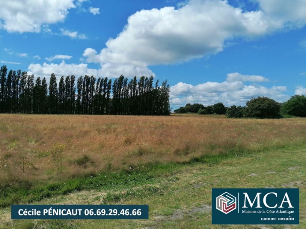 vente Maison - 4 pièce(s) - 100 m² Hinx (40180)