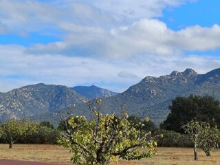  Terrain � vendre 367 m�