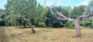  Maison 4 pi�ces 90 m� Montpon-m�nest�rol