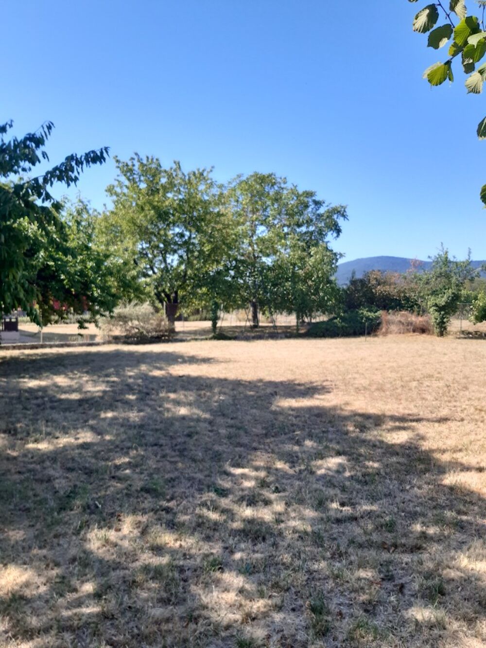 vente Terrain - 800 m² Obernai (67210)