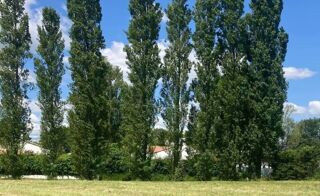  Maison 5 pi�ces 120 m� La roche-sur-yon