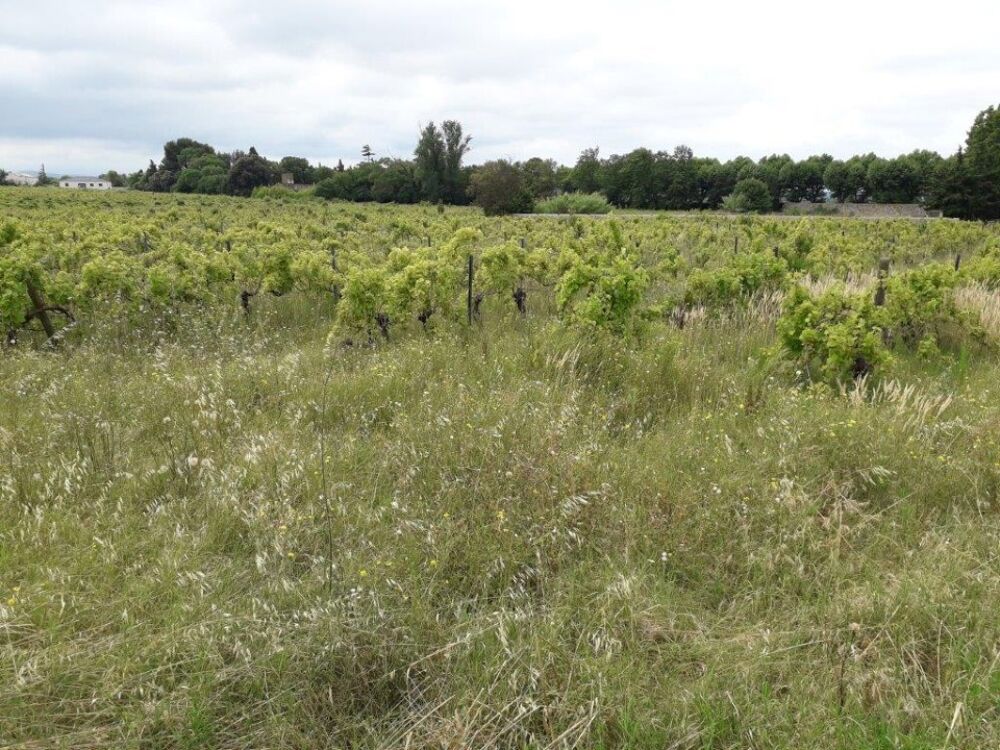 vente Maison - 5 pièce(s) - 94 m² Bizanet (11200)
