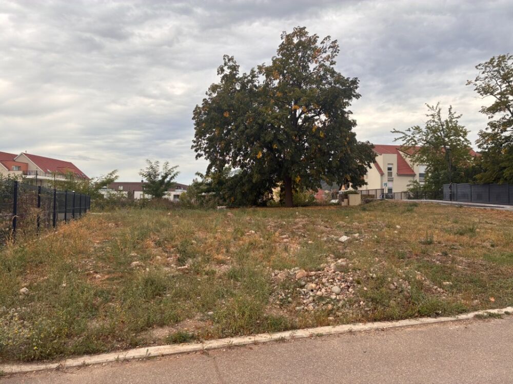 Et si votre future maison prenait vie à Turckheim avec M....