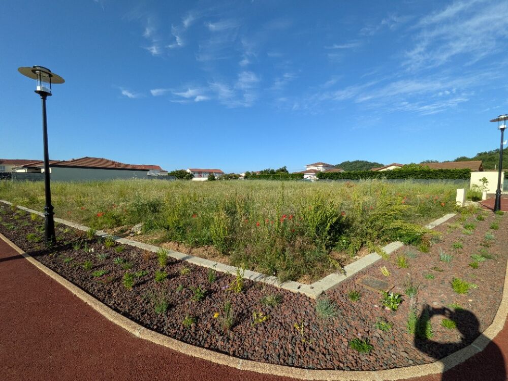 vente Terrain - 531 m² Genas (69740)