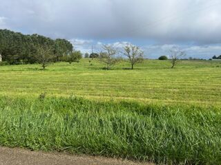  Terrain 1900 m Caumont-sur-garonne