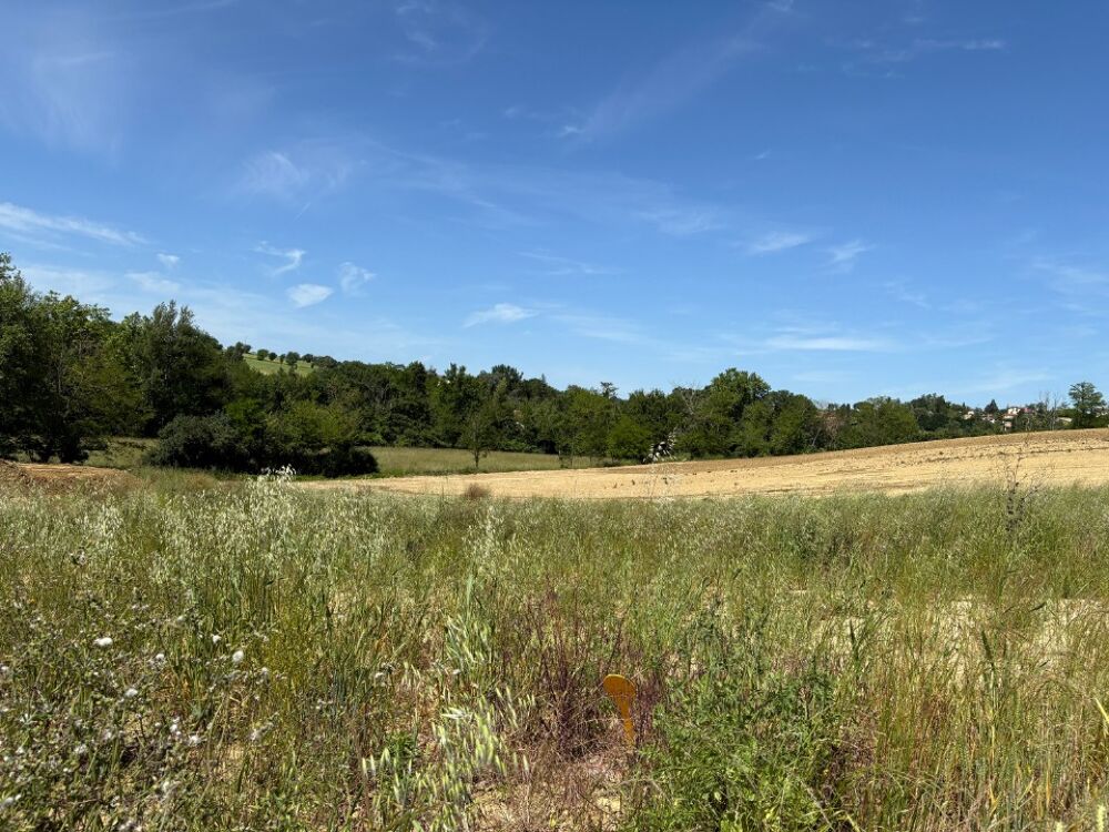 vente Maison - 6 pièce(s) - 125 m² Verfeil (31590)