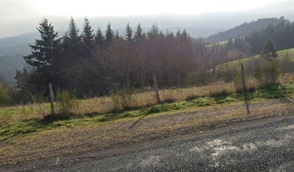 vente Terrain - 1850 m² Saint-Ferréol-d'Auroure (43330)