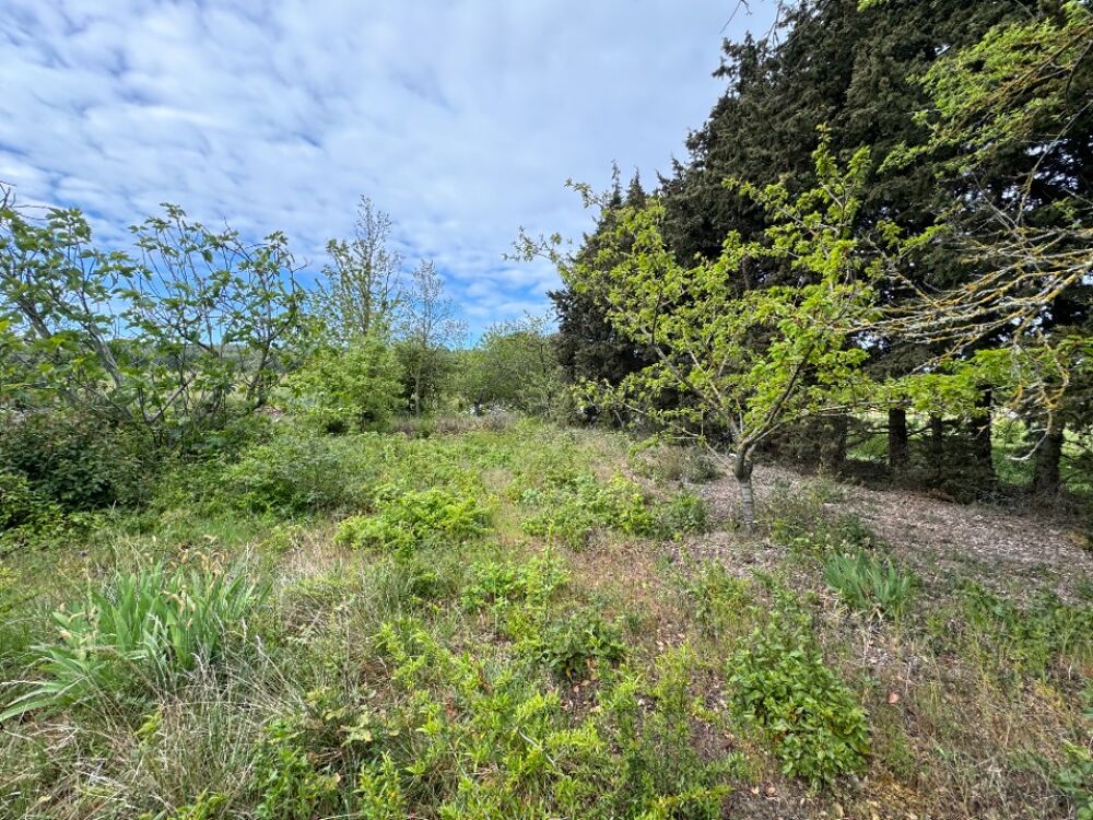 vente Maison - 6 pièce(s) - 134 m² La Cassaigne (11270)