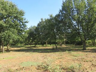  Maison 4 pi�ces 90 m� Montignargues