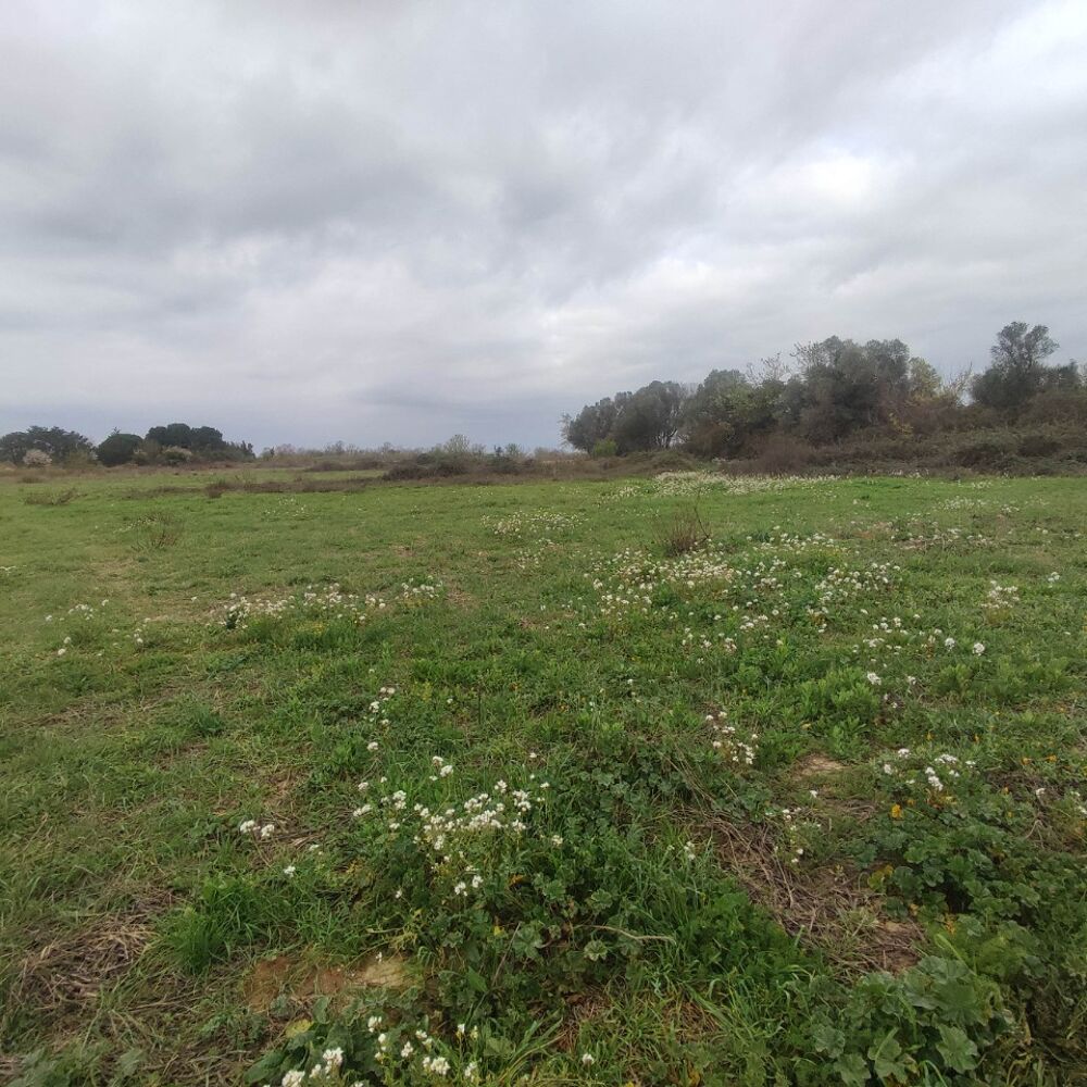 vente Terrain - 504 m² Salles-d'Aude (11110)