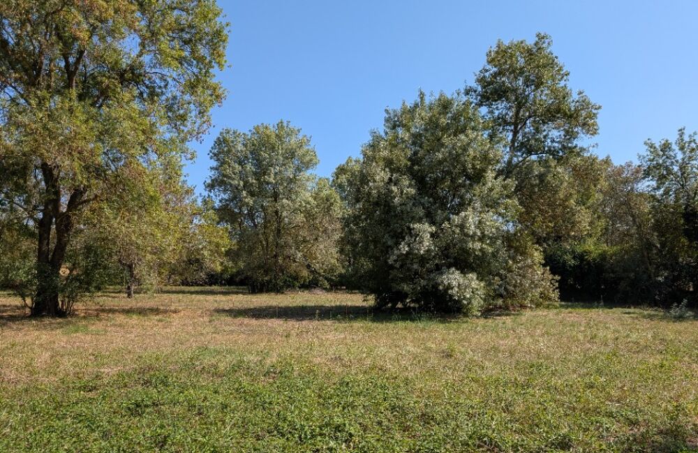vente Terrain - 1105 m² Châteauneuf-Grasse (06740)