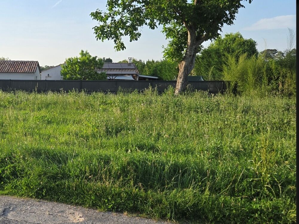 vente Terrain - 537 m² Peujard (33240)