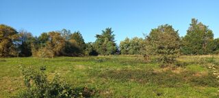  Terrain à vendre 1300 m²