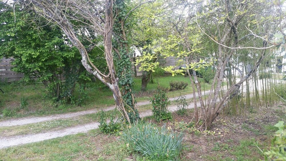 vente Terrain - 600 m² Ludon-Médoc (33290)