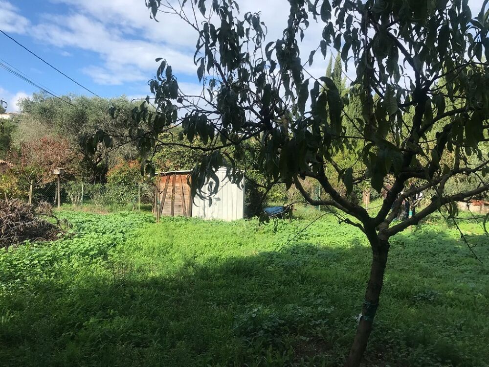 vente Terrain - 378 m² Pignans (83790)