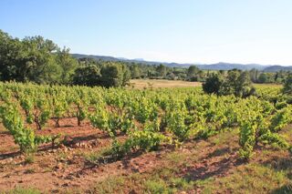  Maison 5 pi�ces 120 m� Carc�s