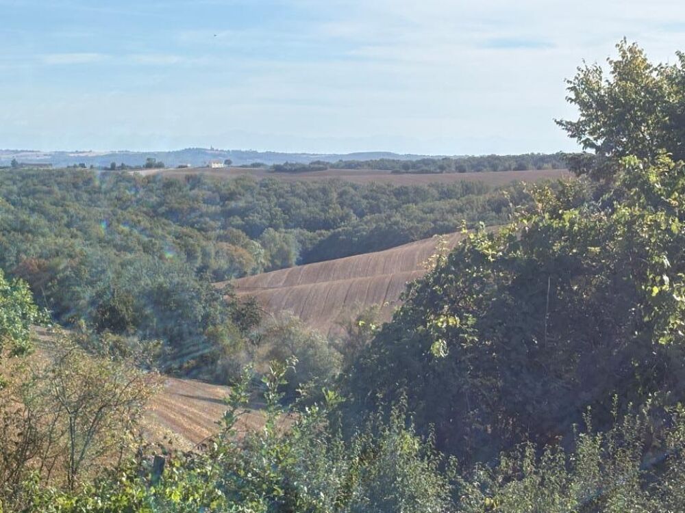 vente Terrain - 1040 m² Le Born (31340)