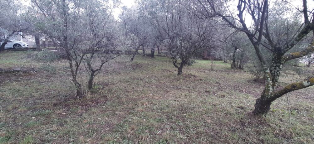 vente Terrain - 641 m² Draguignan (83300)