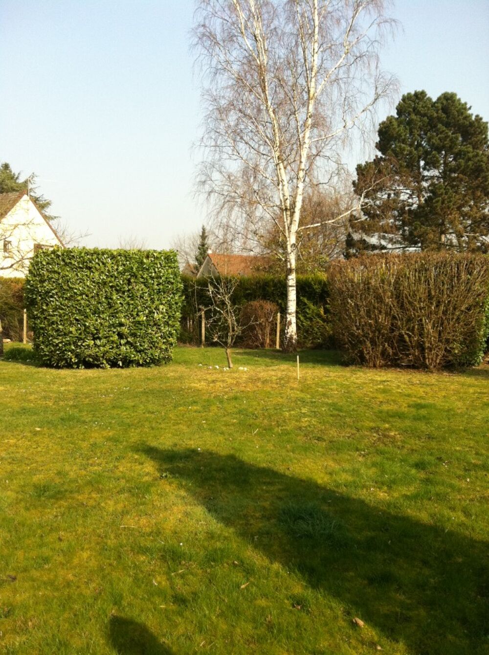 vente Maison - 8 pièce(s) - 175 m² Châtenay-Malabry (92290)