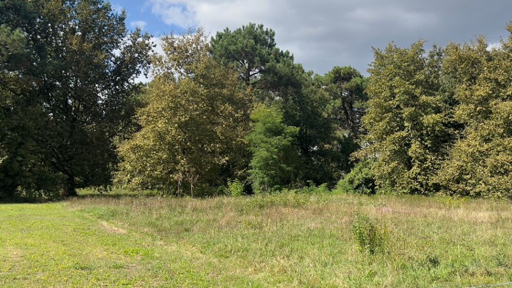 vente Maison - 4 pièce(s) - 90 m² Marcheprime (33380)