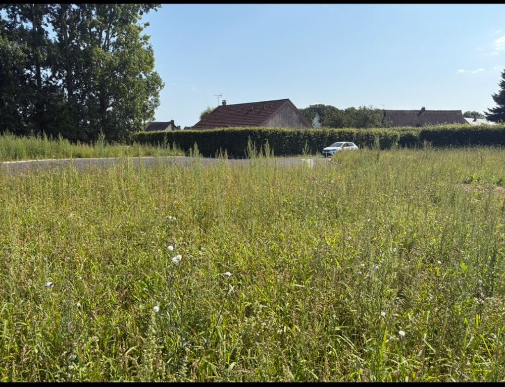 vente Terrain - 650 m² Fauville-en-Caux (76640)