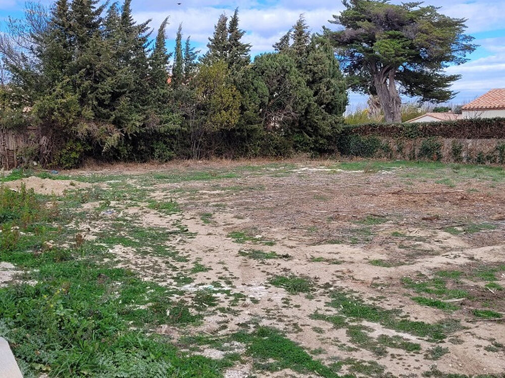 vente Terrain - 1213 m² Ille-sur-Têt (66130)