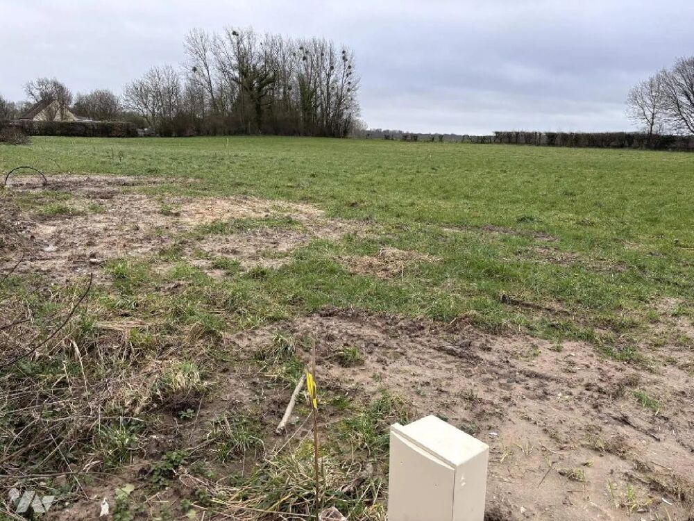 vente Maison - 5 pièce(s) - 135 m² Crécy-en-Ponthieu (80150)