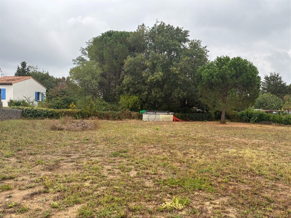 vente Terrain - 1093 m² Sainte-Eulalie (11170)