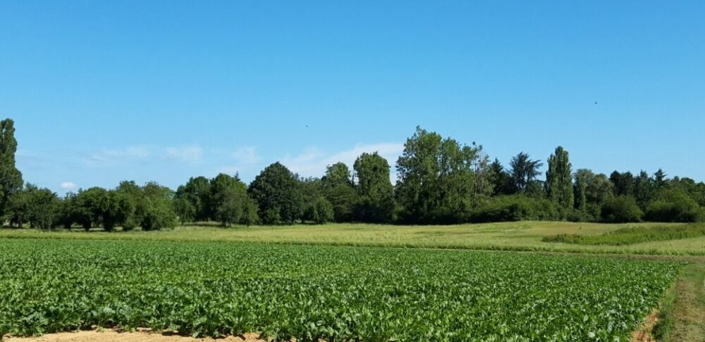 vente Terrain - 555 m² Mareil-le-Guyon (78490)