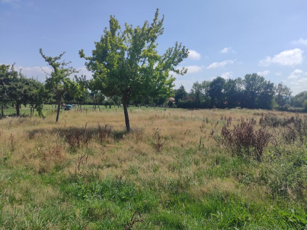 MAISON À CONSTRUIRE DE 141 M² À SAINT-MARTIN-AUX-CHARTRA....