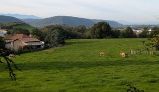  Maison 3 pi�ces 65 m� Laveyron