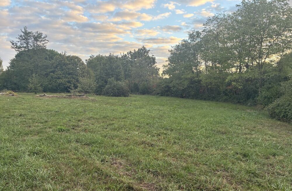 vente Terrain - 3000 m² Langon (33210)